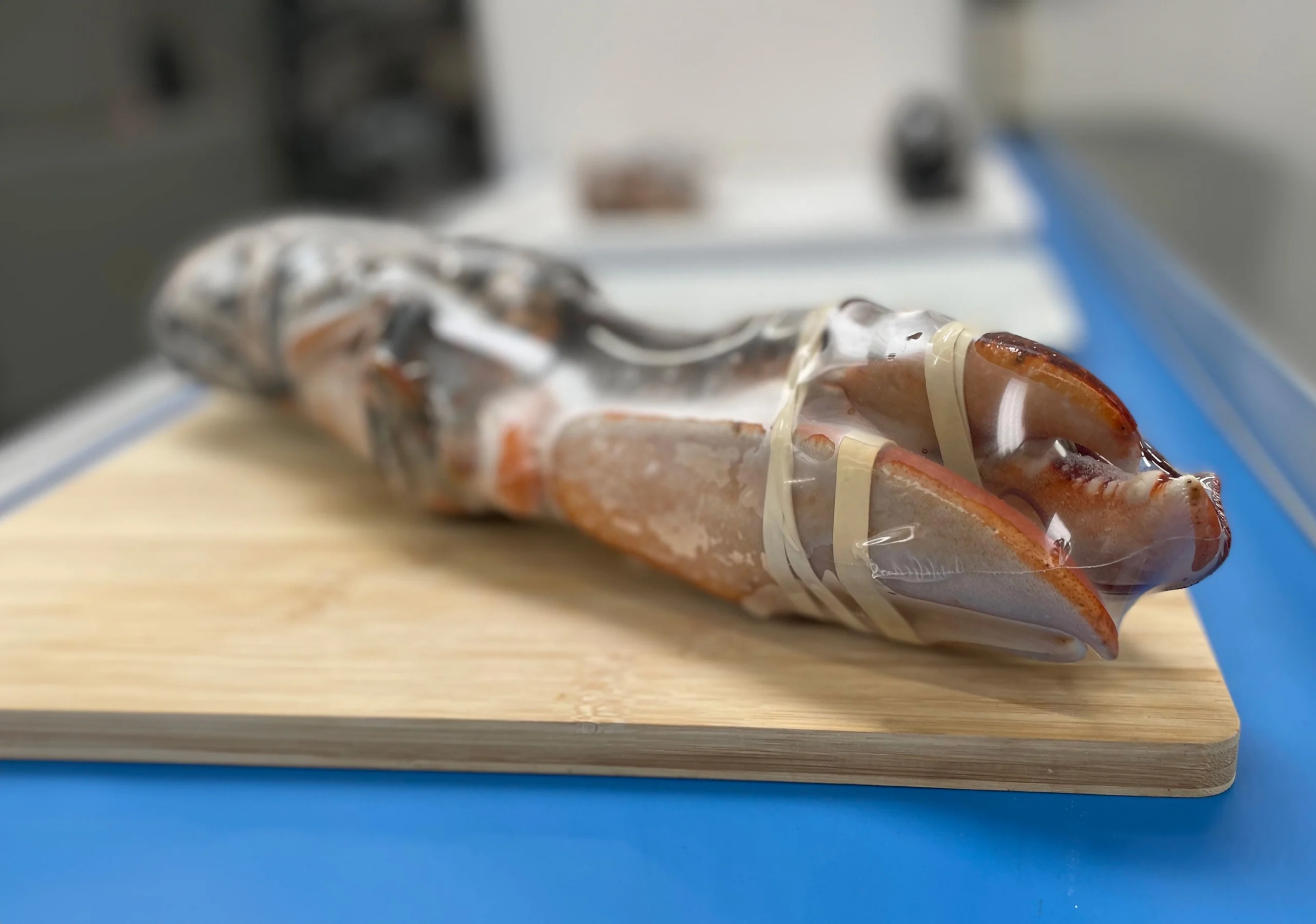 Food-Packaging-Materials-Shellfish